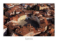 Lucca